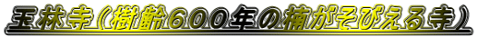 ʗюiUOON̓킪т鎛j