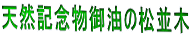 VRLȌ